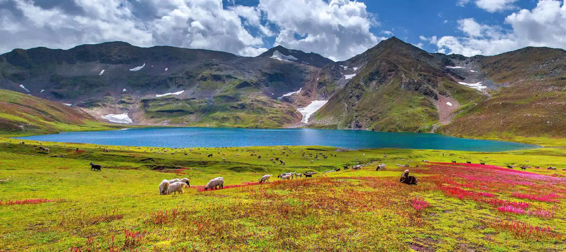 Deosai National Park