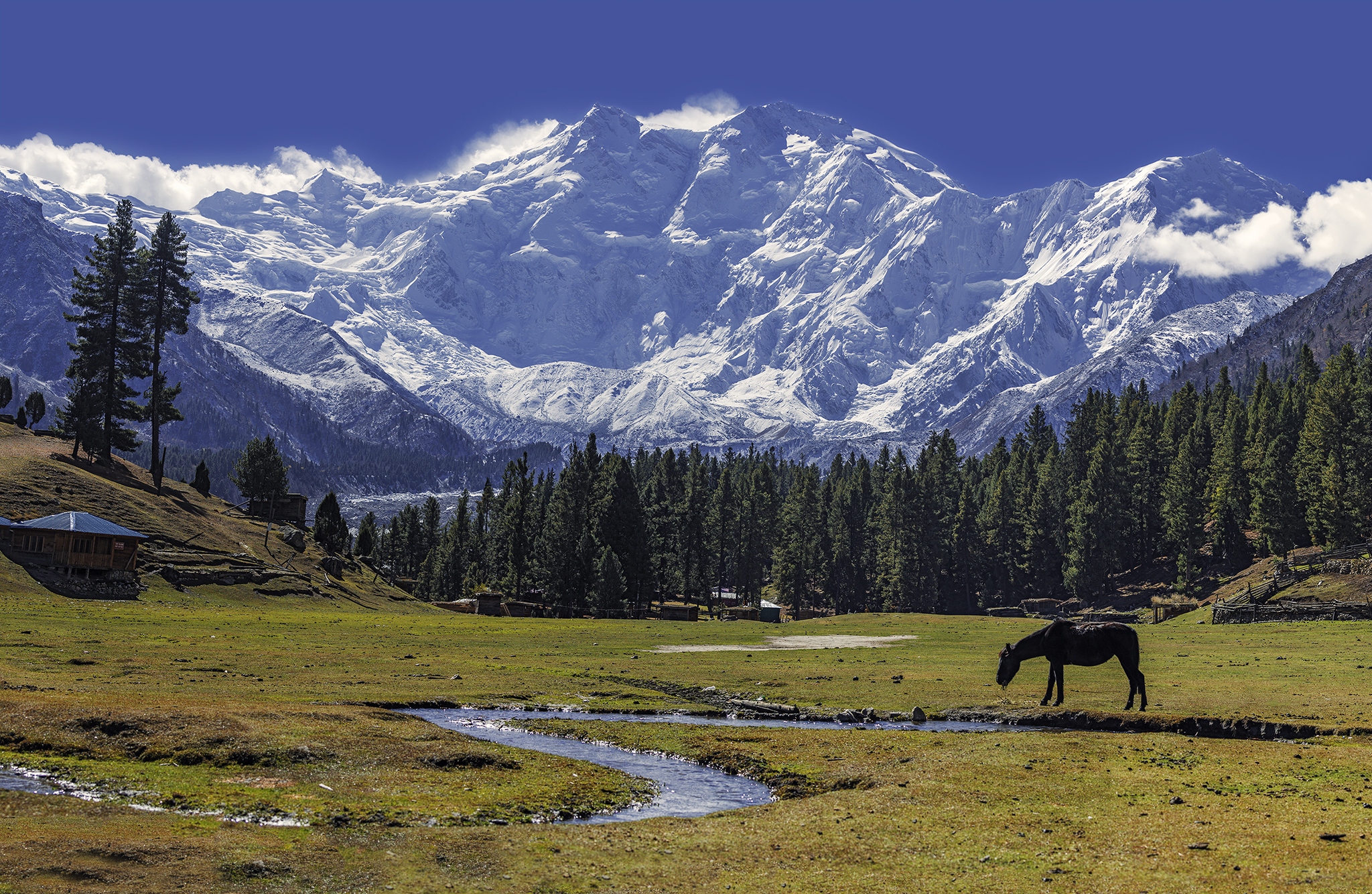Nanga Parbat Viewpoints