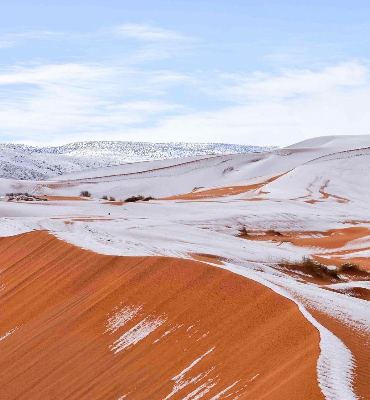 Safranga Cold Desert